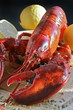 Homard Homard