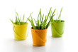 Easter decoration