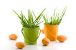 Easter decoration