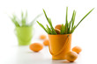 Easter decoration