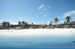 Tropical Beach