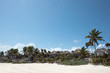 Tropical Beach