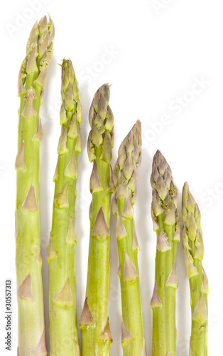 Photo: Hierarchy of Asparagus Hierarchy of Asparagus