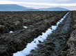 Winter field - very first day of spring Winter field - very first day of spring