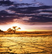 Namib