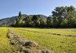 Fenaison provençale