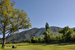 Les foins en Provence