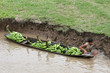 Banana Boat