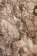 Rough stone background