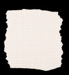 piece of torn squared paper piece of torn squared paper