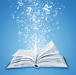 magic book