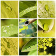 Collage eau Collage eau