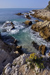 Cap d'Antibes joli fond de mer01