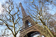 Eiffel Tower, Paris