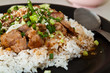 Rice and pork japanese style Rice and pork japanese style