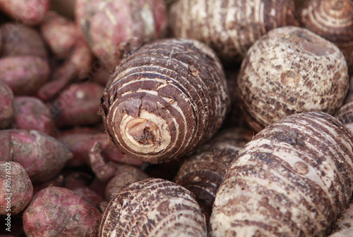 Photo: taro roots taro roots
