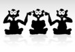 funny three monkey