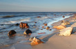 Coast in baltic