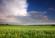 Dramatic clound on spring field