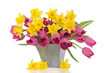 Spring Flower Beauty