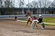 harness racing. horse