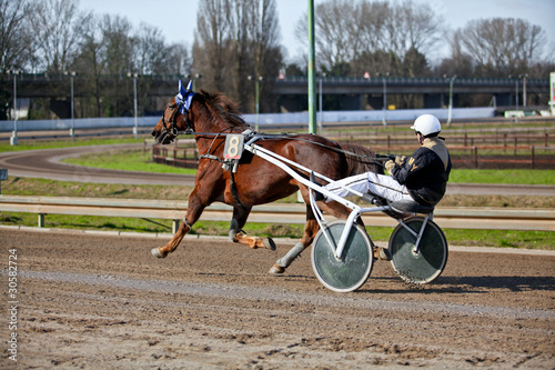 Photo: Harness Racing.Trotting horse. Harness Racing.Trotting horse.