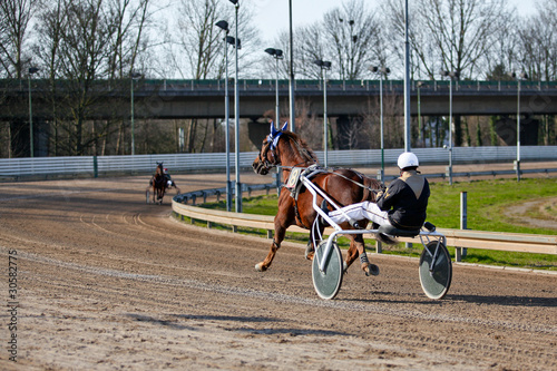 Photo: harness racing. horse harness racing. horse
