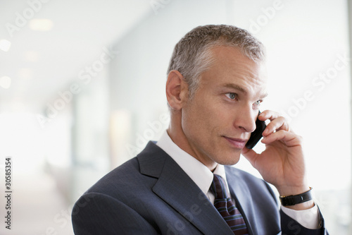 Photo: Businessman talking on cell phone in office Businessman talking on cell phone in office