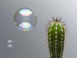 Bubble floating near spiny cactus