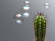 Bubble floating near spiny cactus