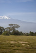 Kilimanjaro Mountain Kilimanjaro Mountain