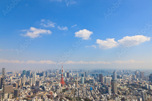 Photo: 東京のオフィス街 東京のオフィス街