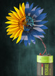 Renewable power generation system with batter for storage