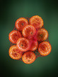 Bag of ripe oranges