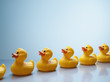 Rubber ducks in a row