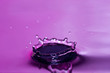 drop of water splash drop of water splash