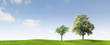 Two Apple Trees on a meadow