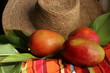 mangue antille
