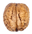 Walnut isolated on white background