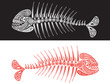 skeleton of fish