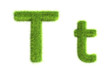 Grass letters