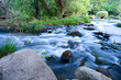 Flowing Creek