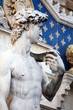 David Statue von Michelangelo auf der David Statue von Michelangelo auf der