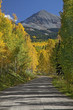 Photo: "Autumn leaves on trees along road, Sawpit, Colorado, United States" "Autumn leaves on trees along road, Sawpit, Colorado, United States"