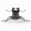 Close up of stag beetle