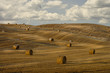 "Hay bales and rolling landscape, Tuscany, Italy"