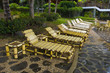 Beach Chairs in a Tropical Resort Beach Chairs in a Tropical Resort