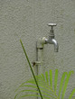 Water tap