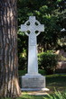 Croce