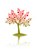apple tree